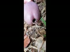 A crazy person displays an extreme pecker insertion in which a chab gets something inserted into his knob.